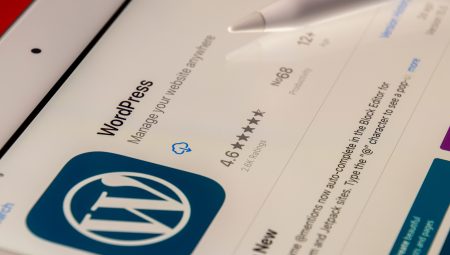 WordPress’te Kategori Sayfasına İçerik Nasıl Eklenir?
