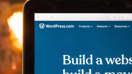 En İyi WordPress Eklentileri