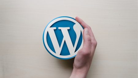 WordPress Görüntüler ve Dosyalar Nasıl Optimize Edilir?