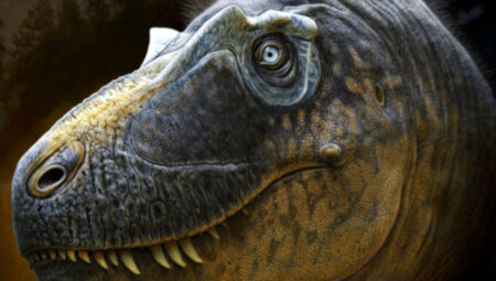 Daha önce hiç görülmedi: Yeni tiranozor keşfi T. rex evrimindeki boşluğu doldurabilir