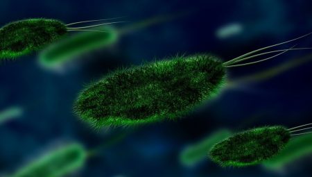 Mikropların DNA’sında gizlenen 30 bin yeni virüs keşfedildi