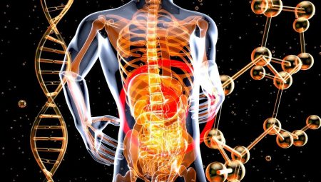 Dışkı nakli: Ölümcül enfeksiyonlarda antibiyotikten daha başarılı